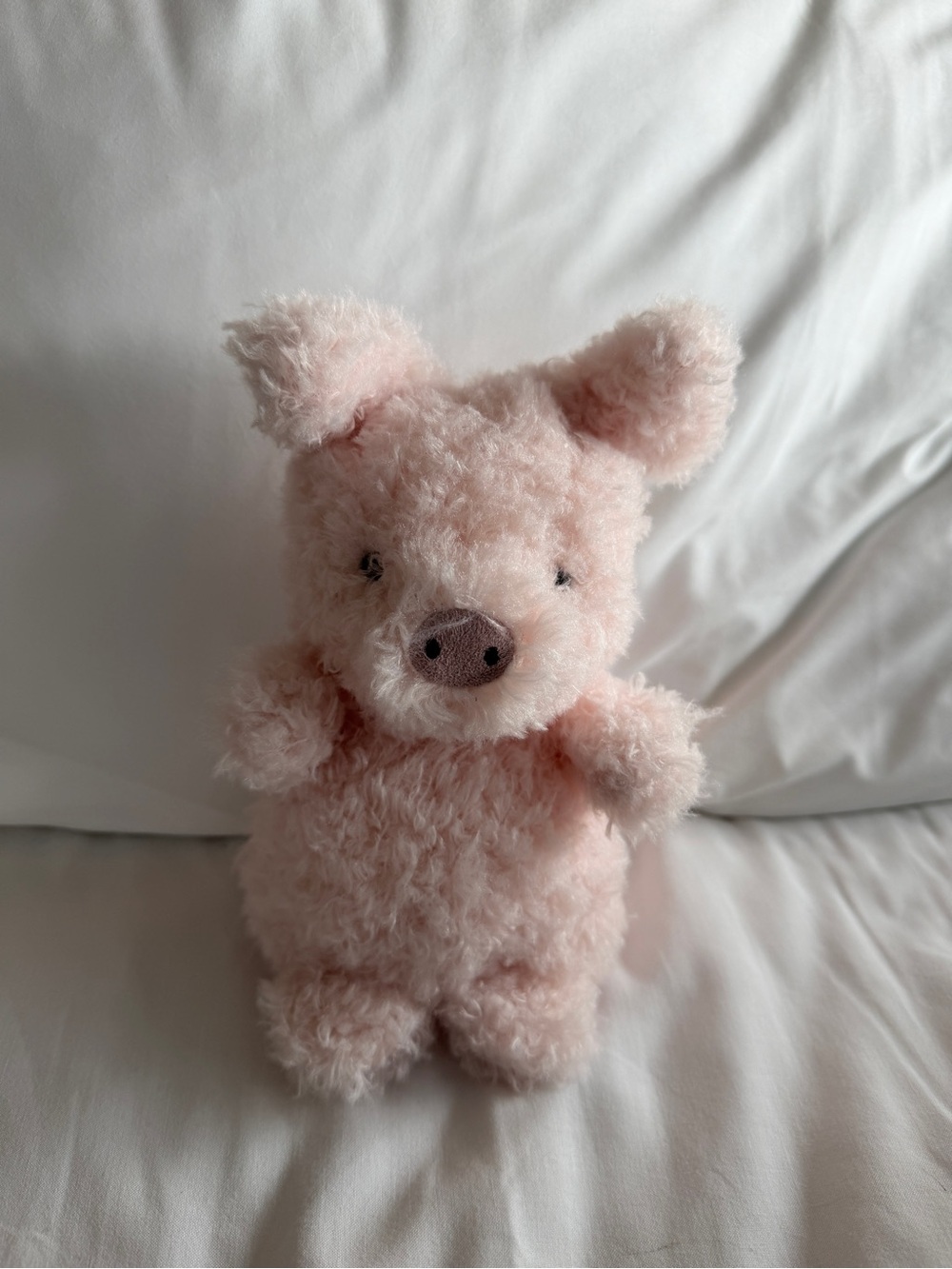 Little Pig - Picture 2 of 5